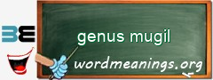 WordMeaning blackboard for genus mugil